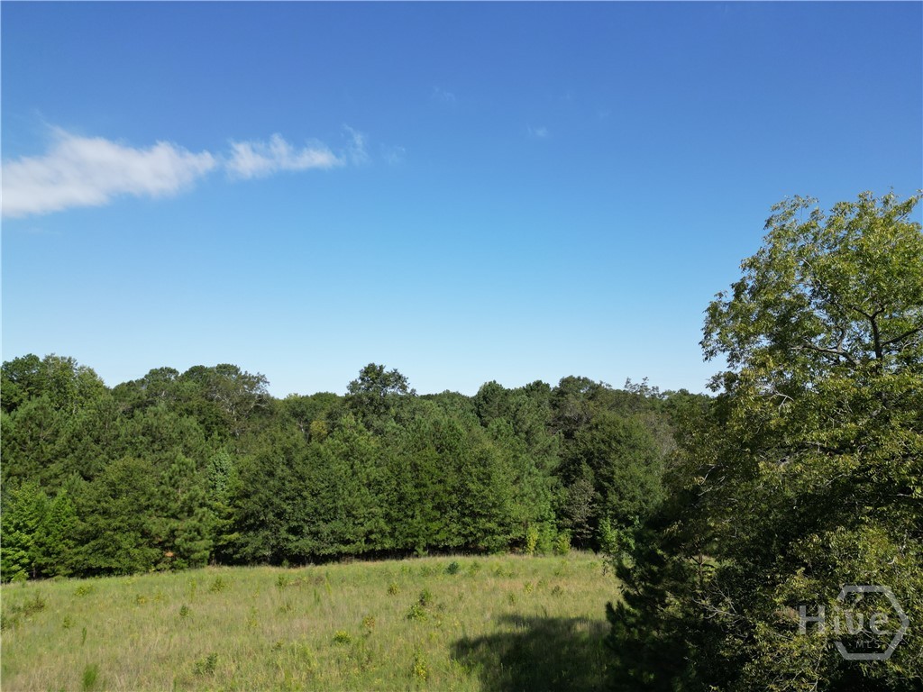 1170 Ash Road Bishop, GA 30621 - Photo 43 of 43