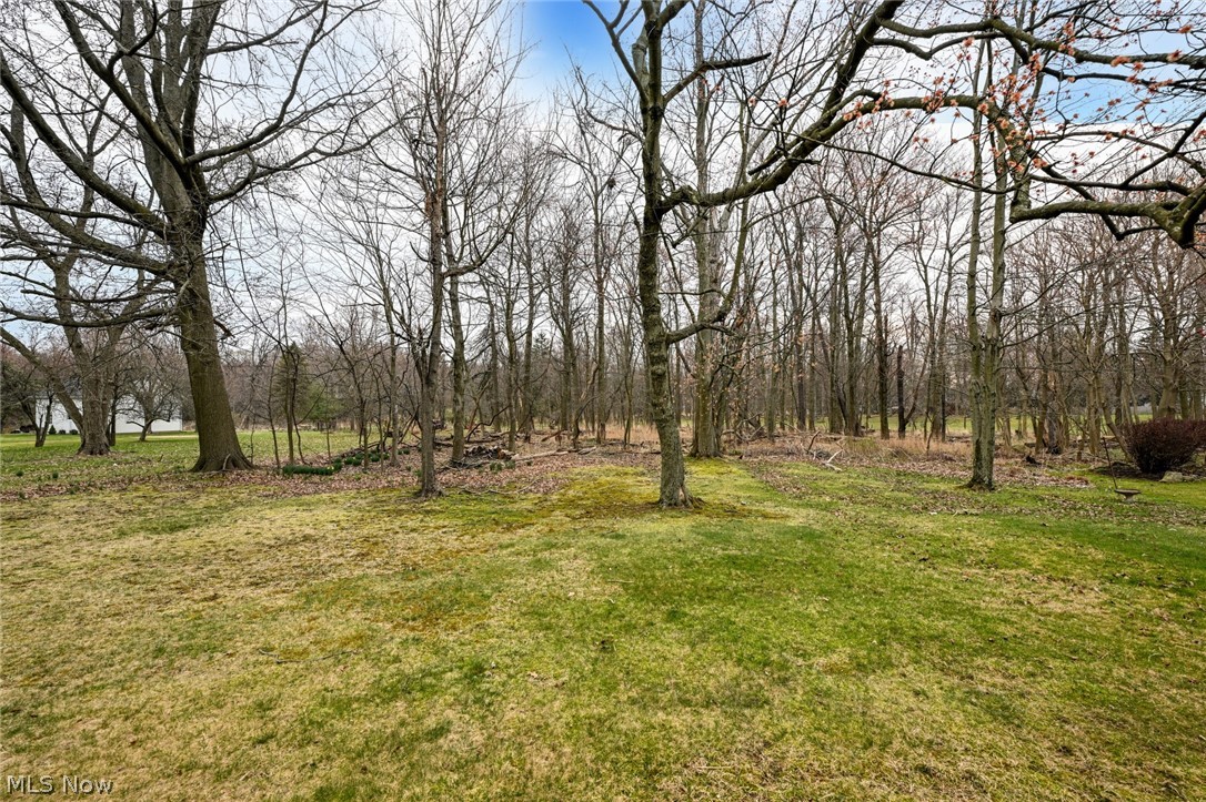 773 Bishop Road Cleveland, OH 44143 - Photo 25 of 34 View of yard