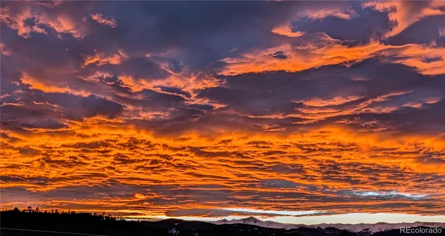 a living room with furniture large window wooden floor and flat screen tv