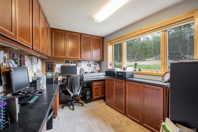 a view of a backyard with plants
