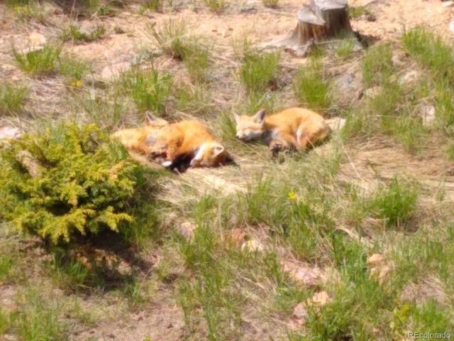 a view of a lake with a mountain in the background