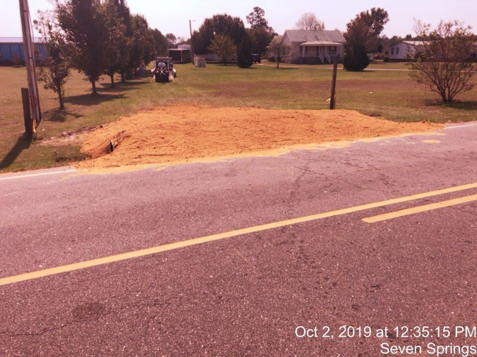 2144 Pineview Cemetery Road Seven Springs, NC 28578 - Photo 10 of 11 Gallery Image 10