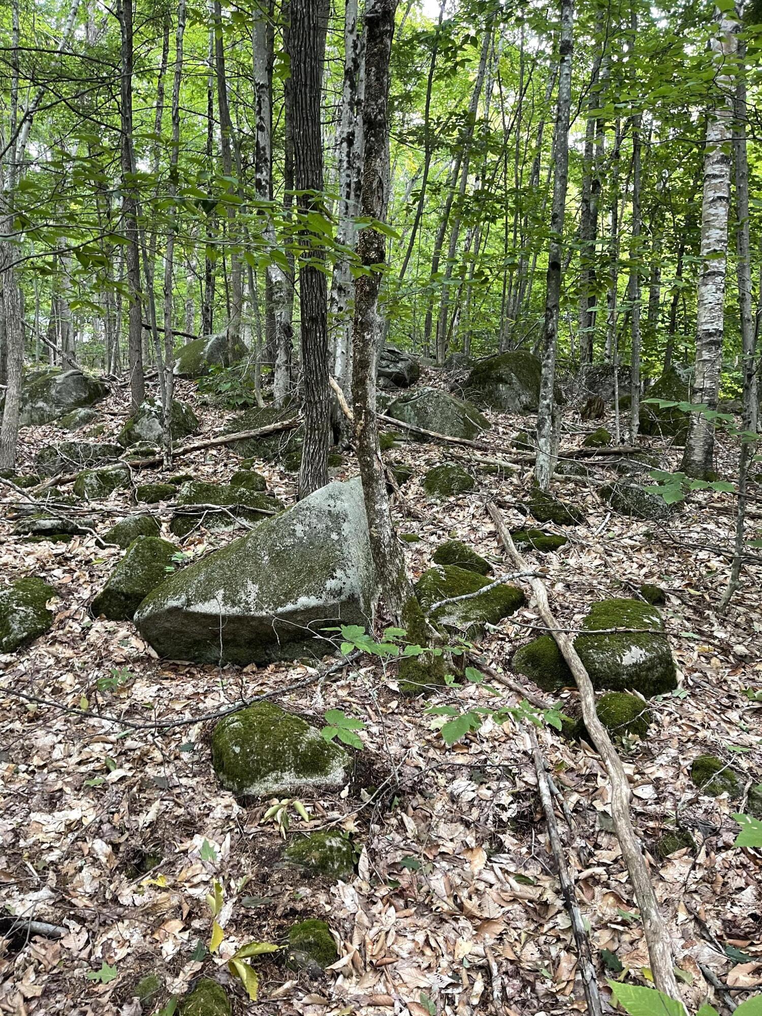 73 Beach Road Naples, ME 04055 - Photo 2 of 11 IMG_2403