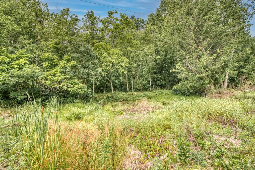 19082 Morrison Road Meadowview, VA 24361 - Photo 12 of 14 Gallery Image 12