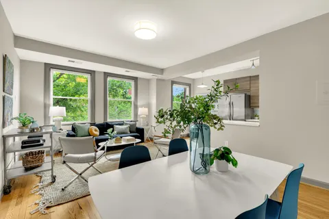 a living room with furniture potted plant and windows