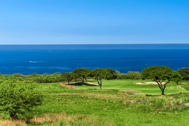 a view of a field with an ocean