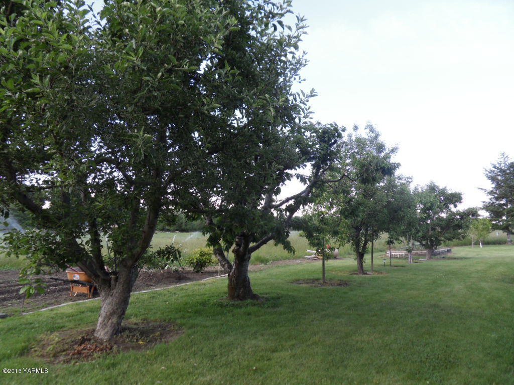 3501 Wiley Road Yakima, WA 98903 - Photo 30 of 31 a big yard with lots of green space and fountain
