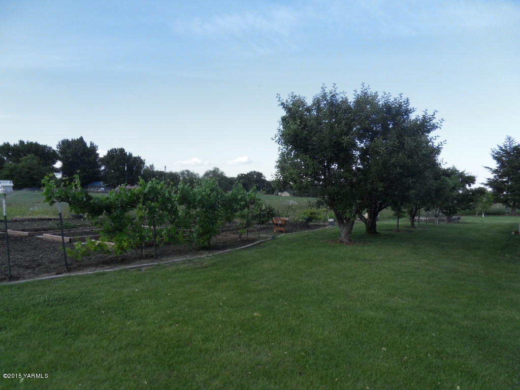 3501 Wiley Road Yakima, WA 98903 - Photo 31 of 31 a view of a field of grass and trees