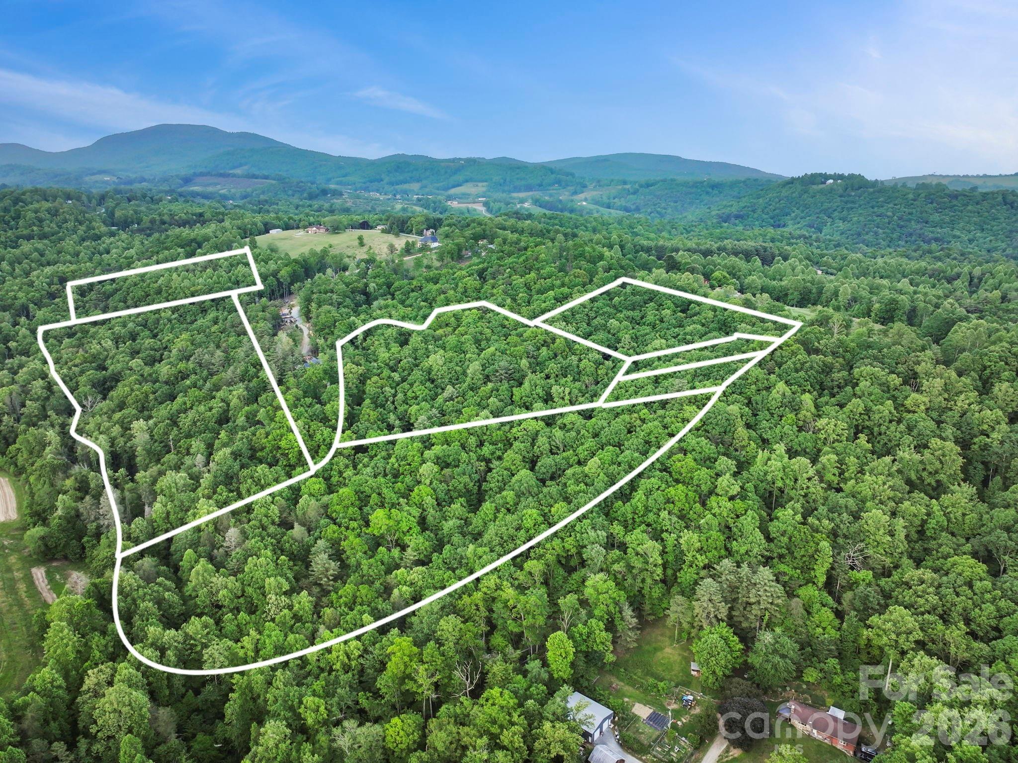 0 John Delk Road, Unit 2&6 Hendersonville, NC 28792 - Photo 12 of 27