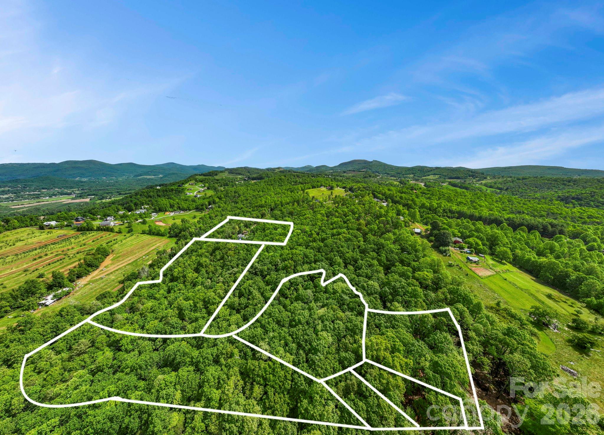 0 John Delk Road, Unit 2&6 Hendersonville, NC 28792 - Photo 13 of 27