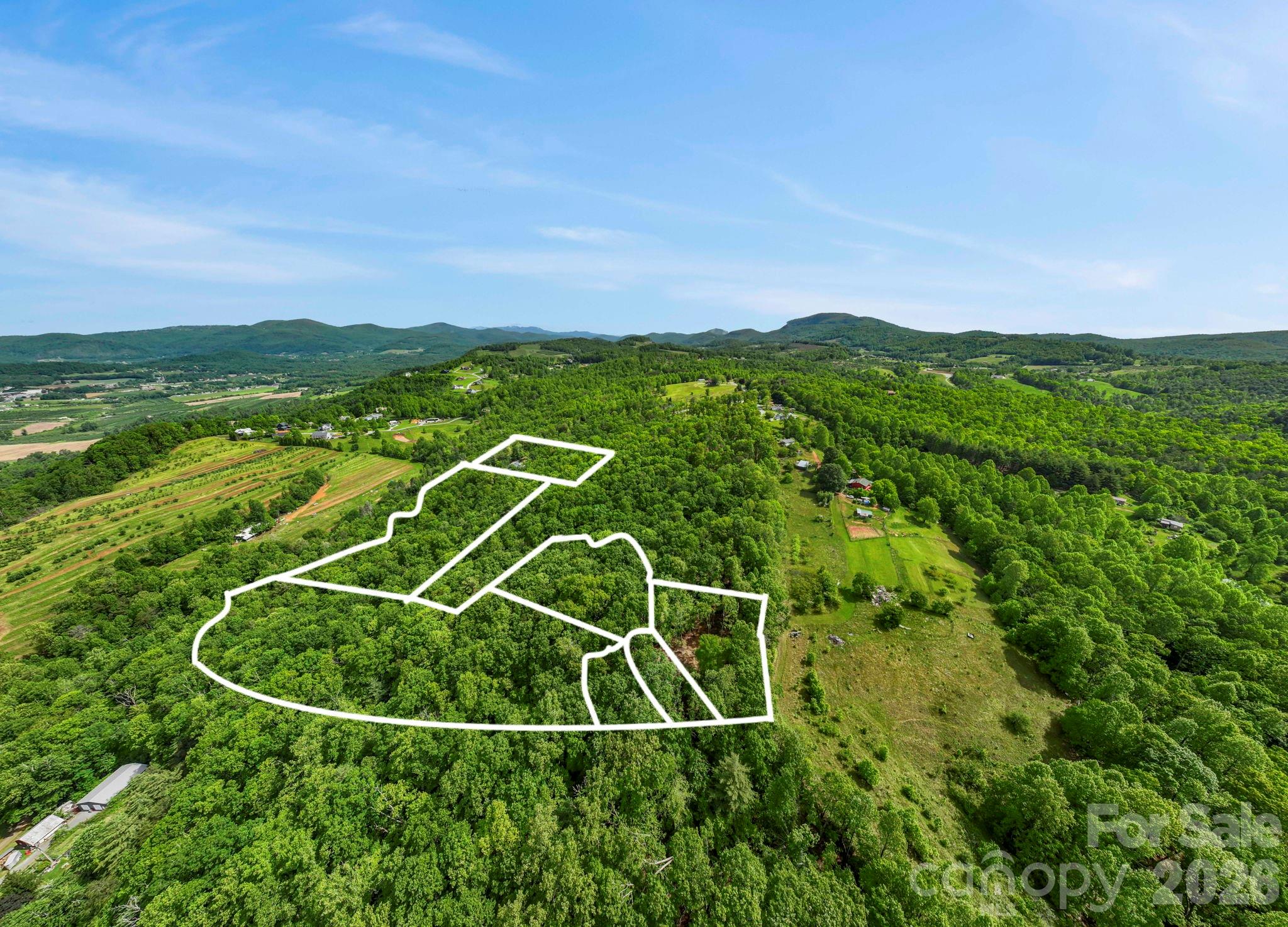0 John Delk Road, Unit 2&6 Hendersonville, NC 28792 - Photo 14 of 27