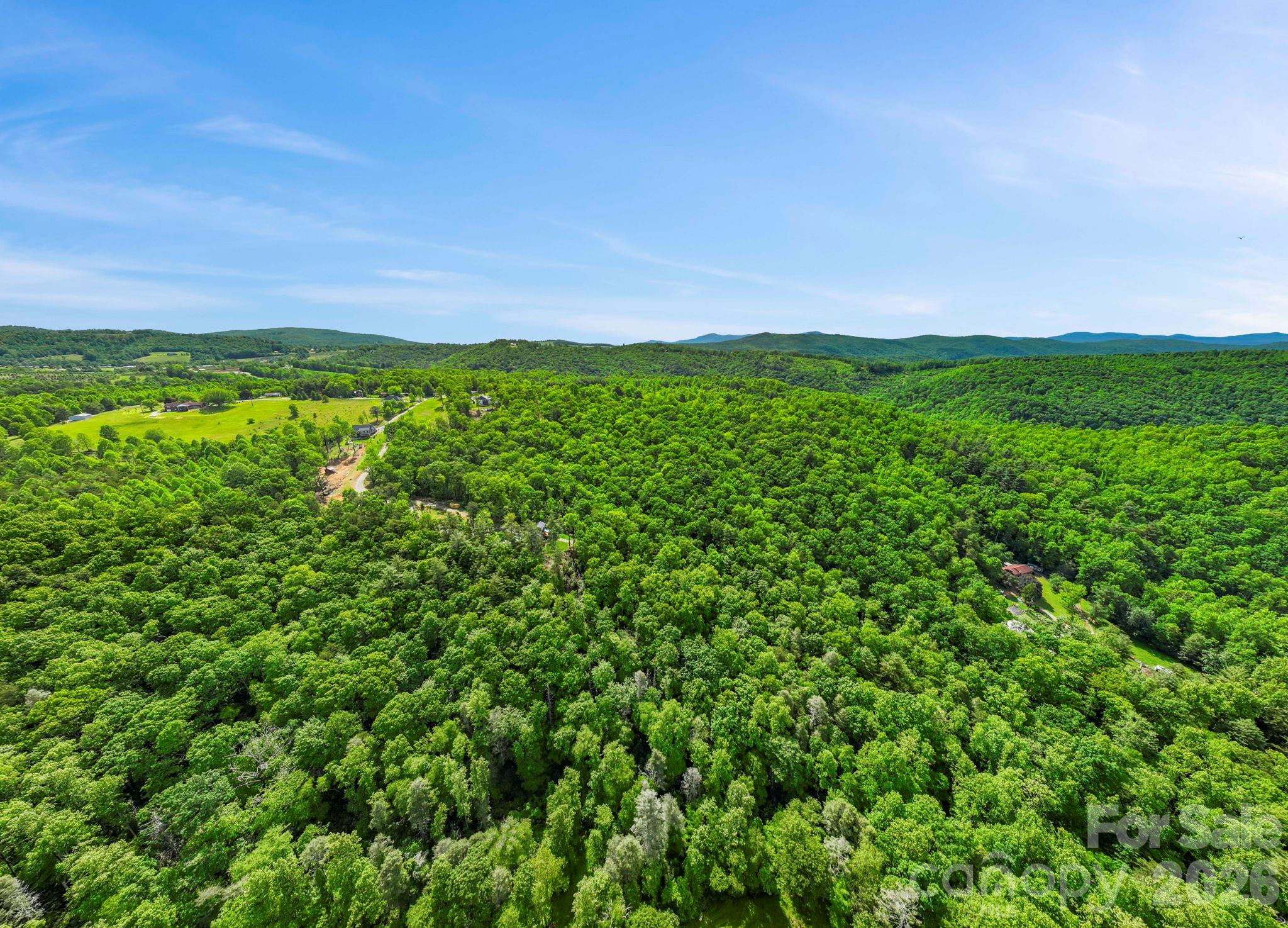 0 John Delk Road, Unit 2&6 Hendersonville, NC 28792 - Photo 16 of 27