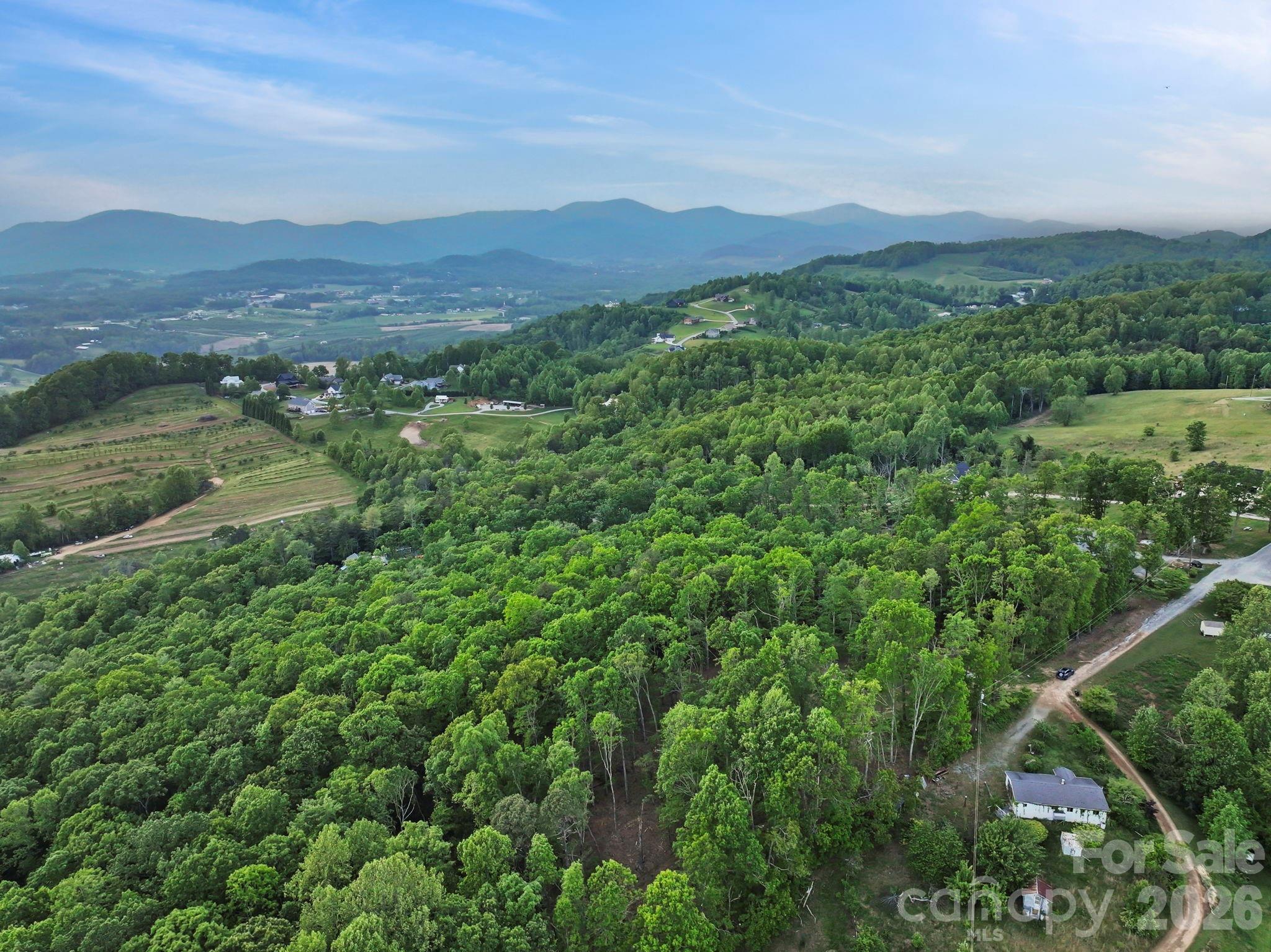 0 John Delk Road, Unit 2&6 Hendersonville, NC 28792 - Photo 19 of 27