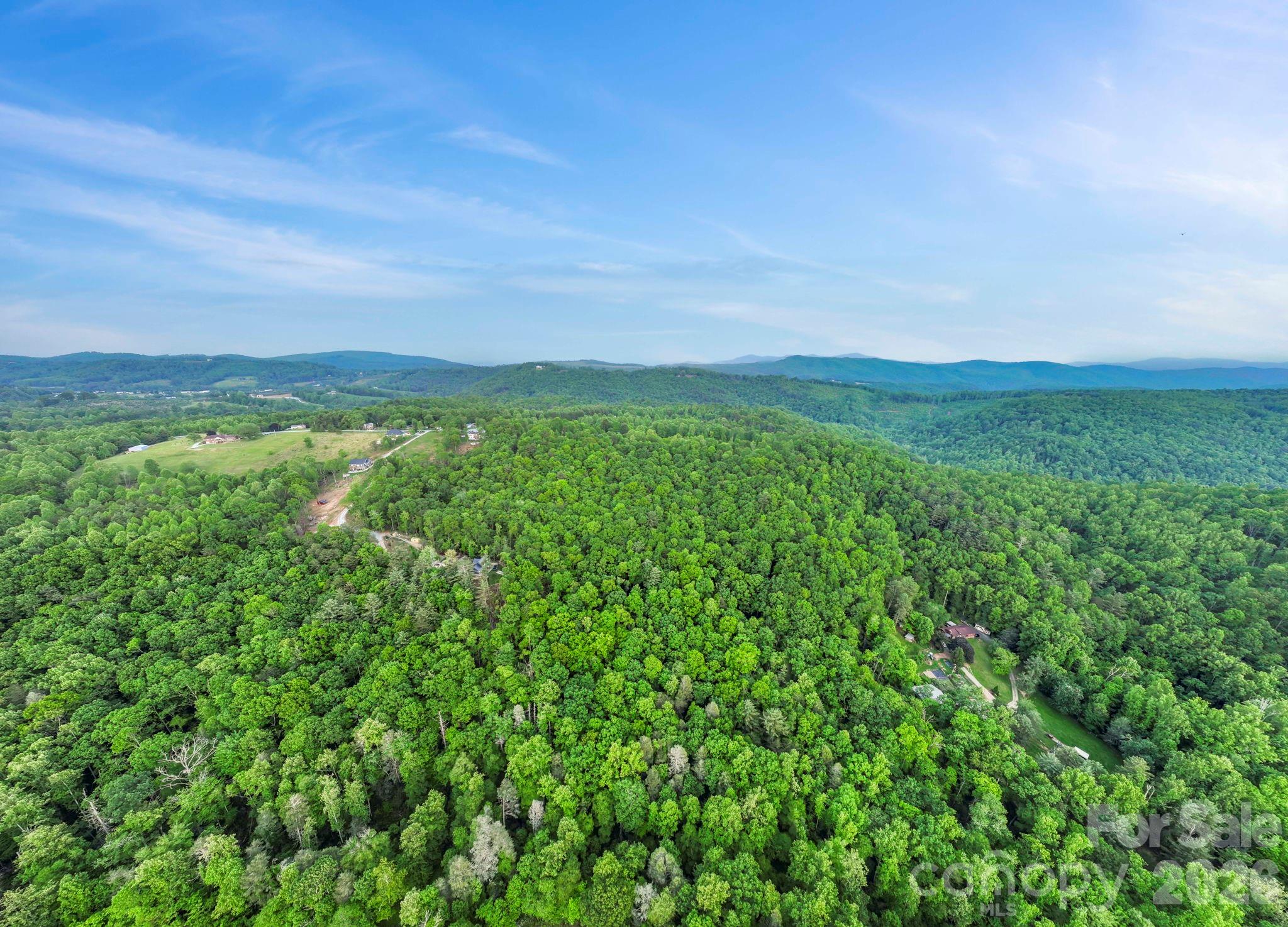 0 John Delk Road, Unit 2&6 Hendersonville, NC 28792 - Photo 20 of 27