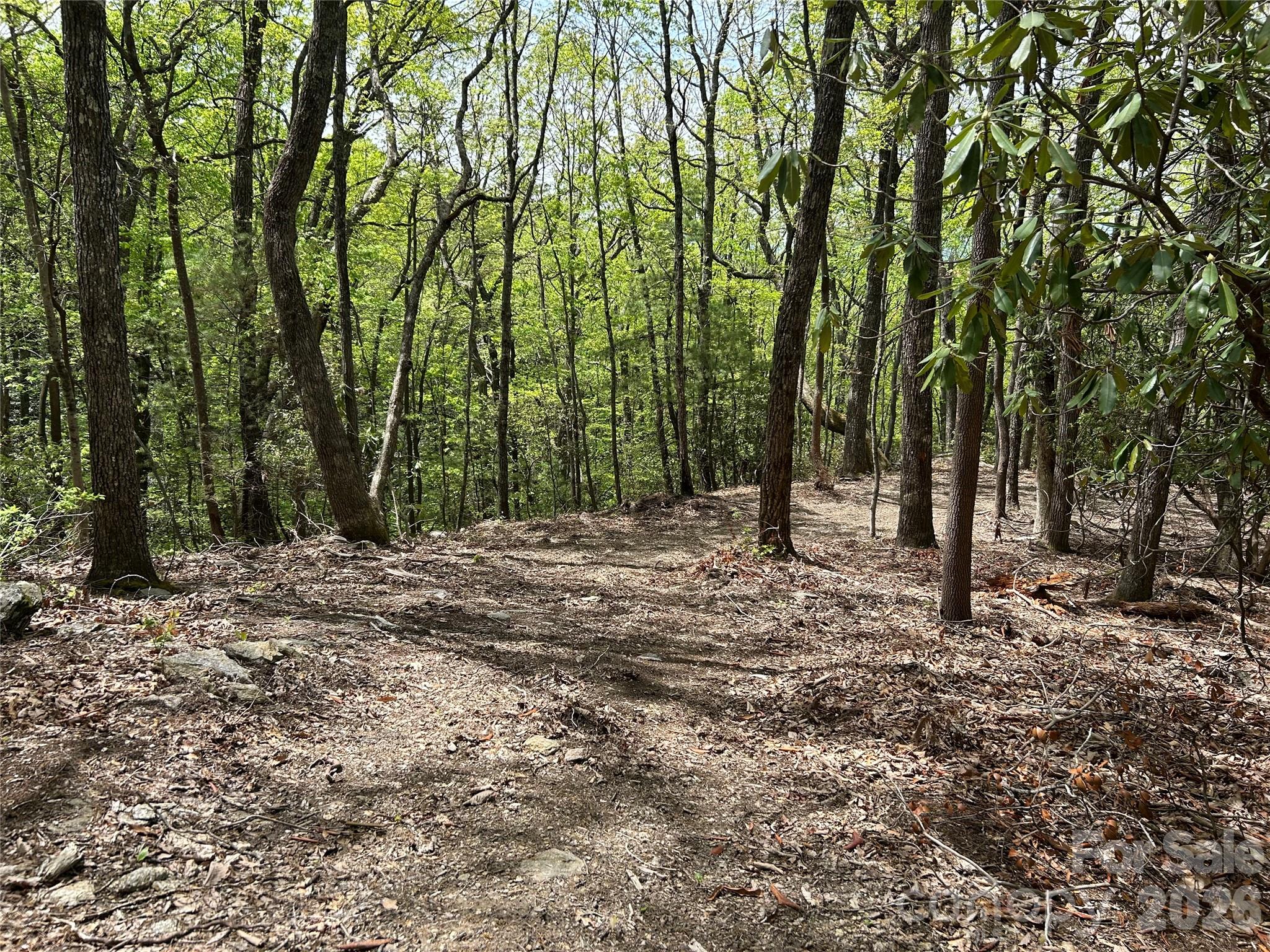 0 John Delk Road, Unit 2&6 Hendersonville, NC 28792 - Photo 2 of 27