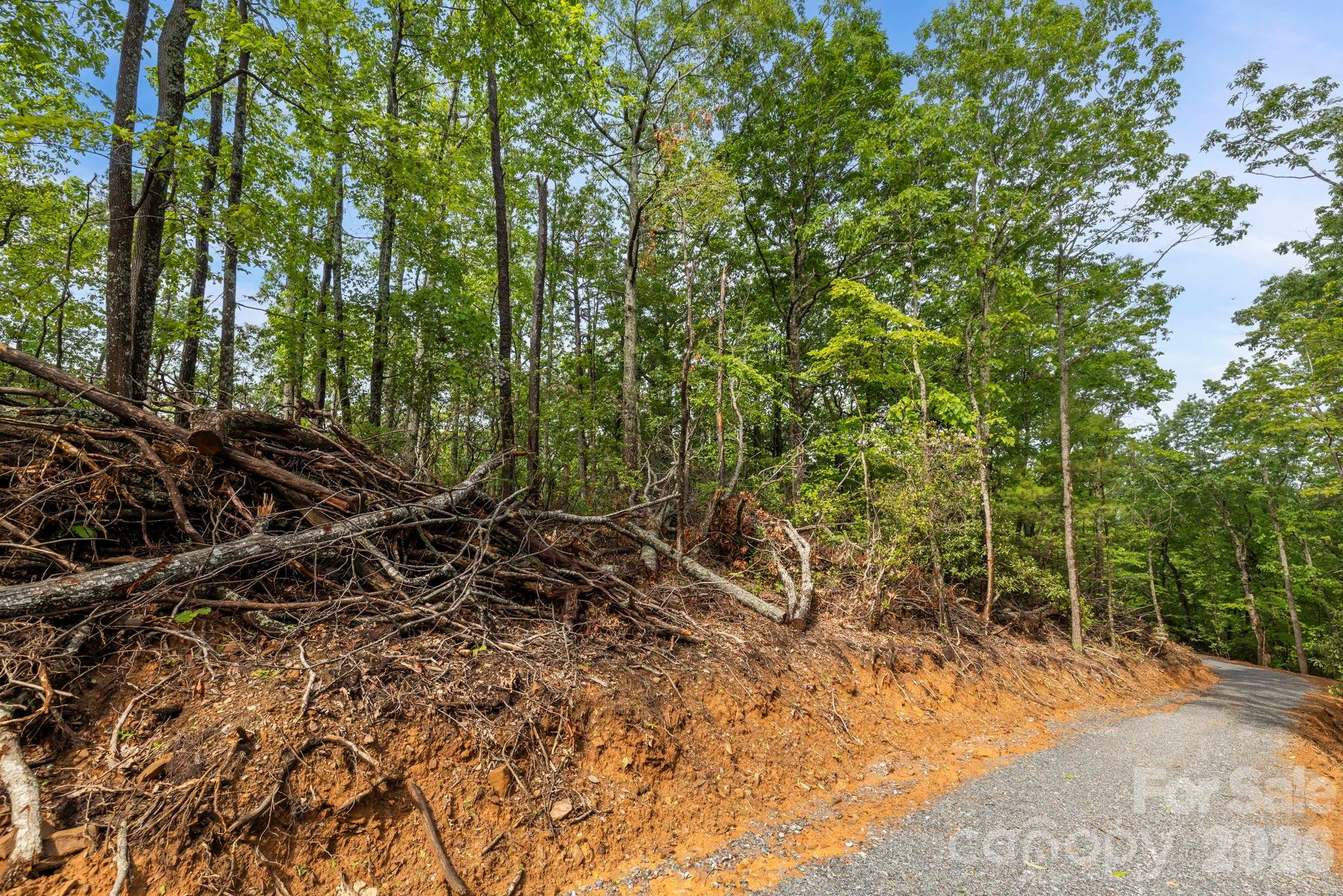 0 John Delk Road, Unit 2&6 Hendersonville, NC 28792 - Photo 24 of 27