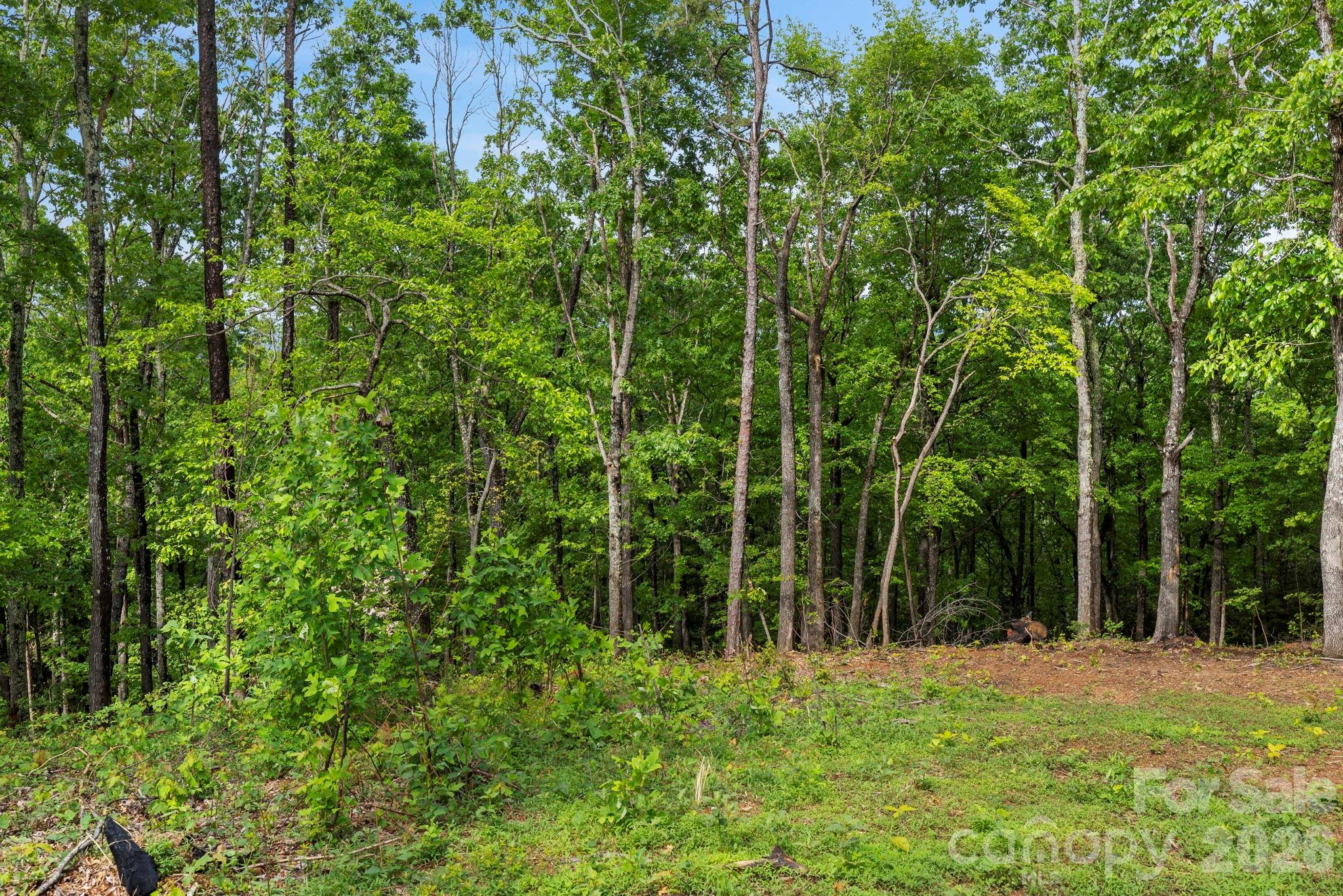 0 John Delk Road, Unit 2&6 Hendersonville, NC 28792 - Photo 25 of 27