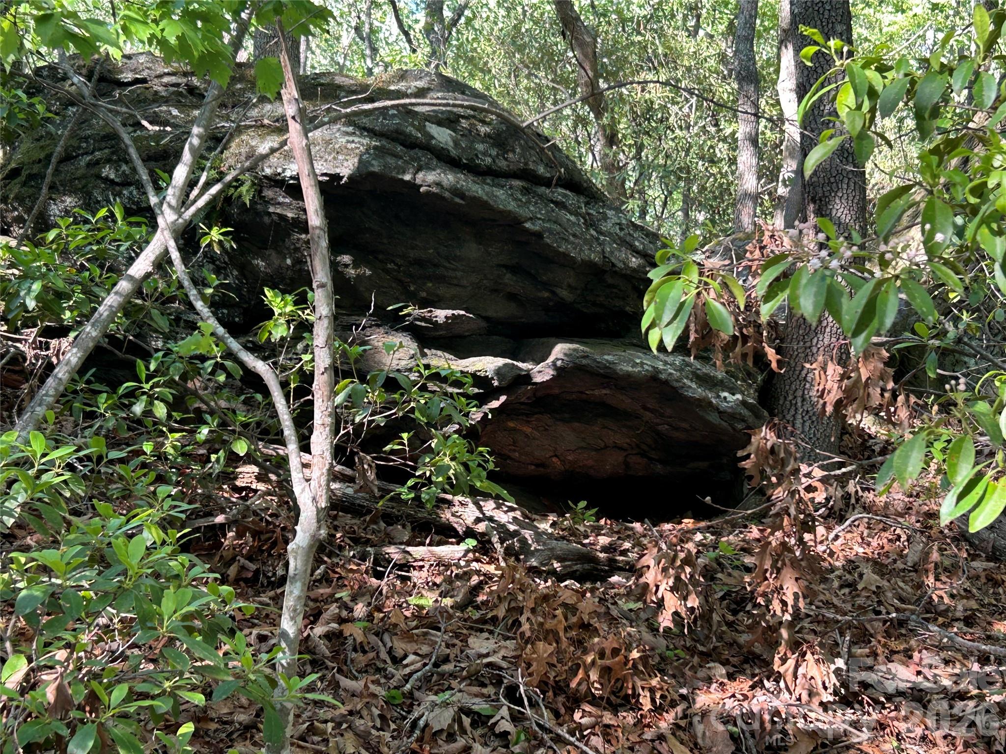 0 John Delk Road, Unit 2&6 Hendersonville, NC 28792 - Photo 26 of 27