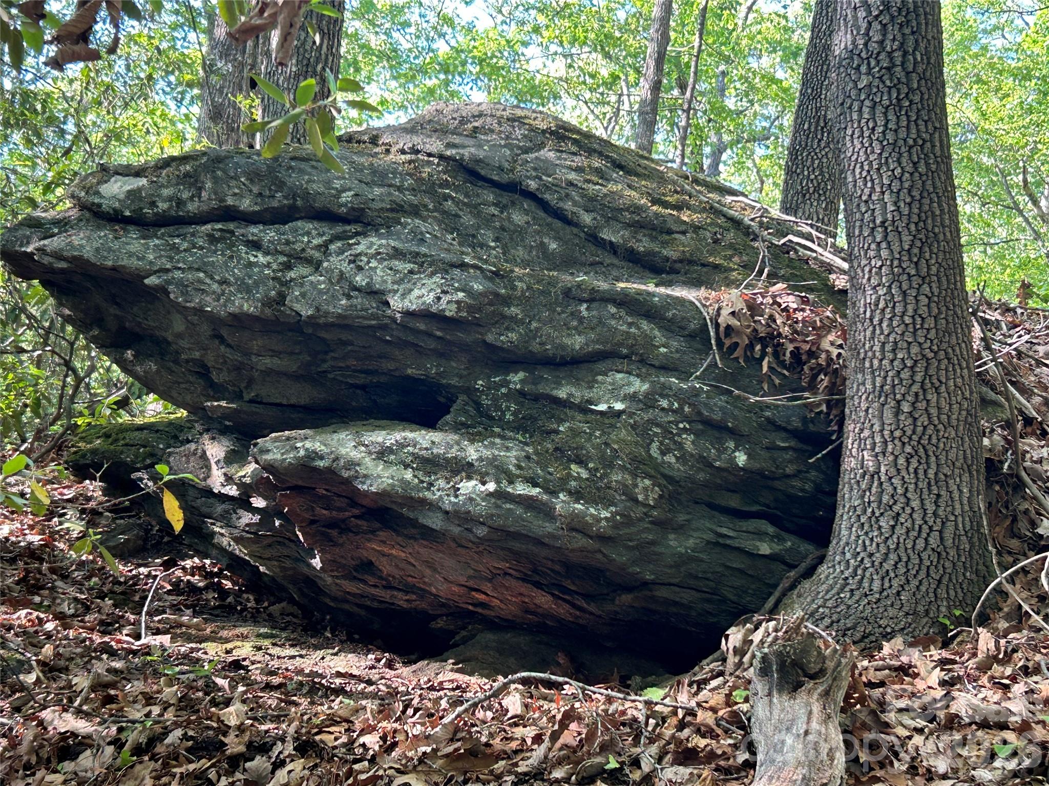 0 John Delk Road, Unit 2&6 Hendersonville, NC 28792 - Photo 27 of 27