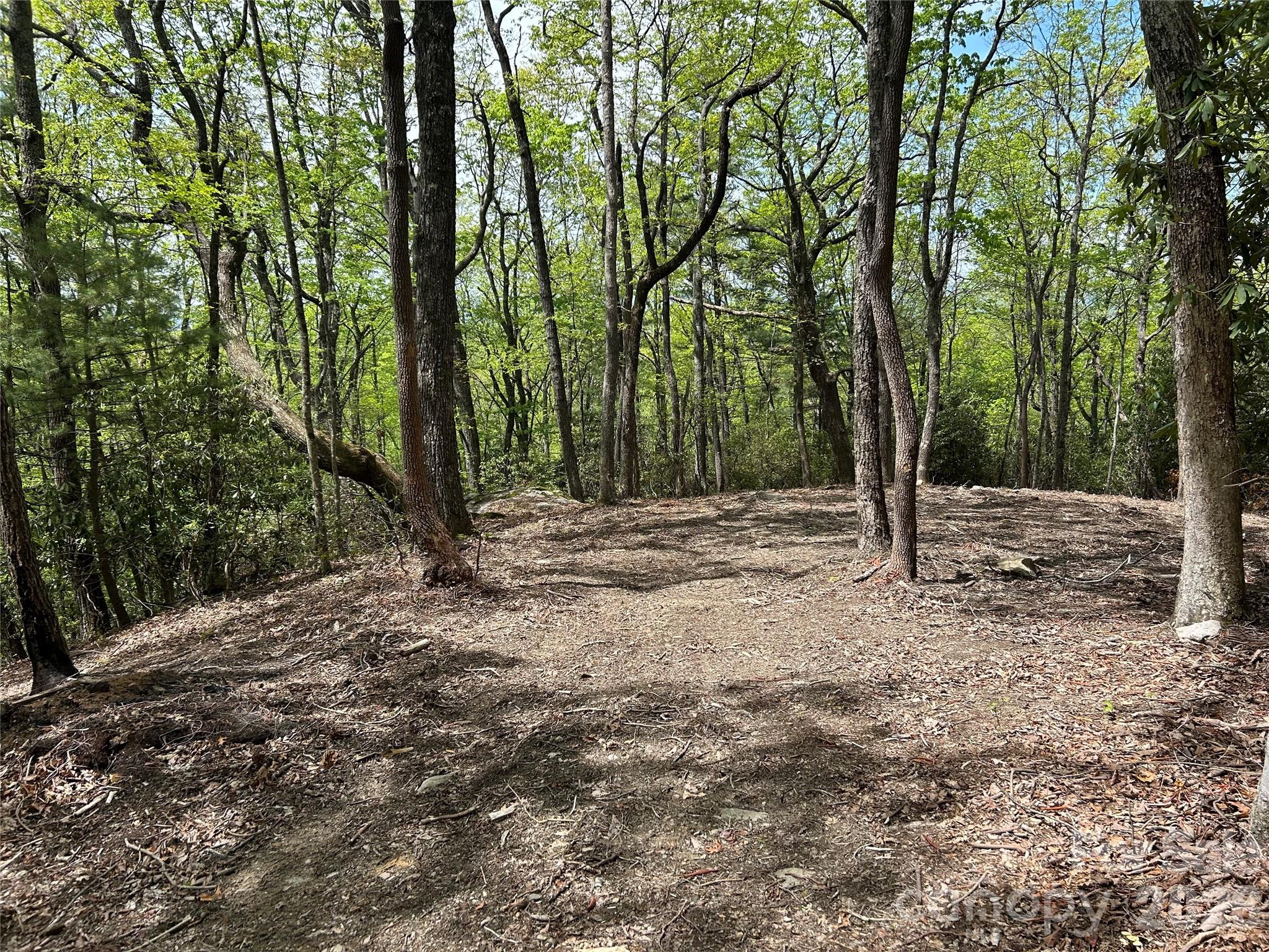 0 John Delk Road, Unit 2&6 Hendersonville, NC 28792 - Photo 3 of 27