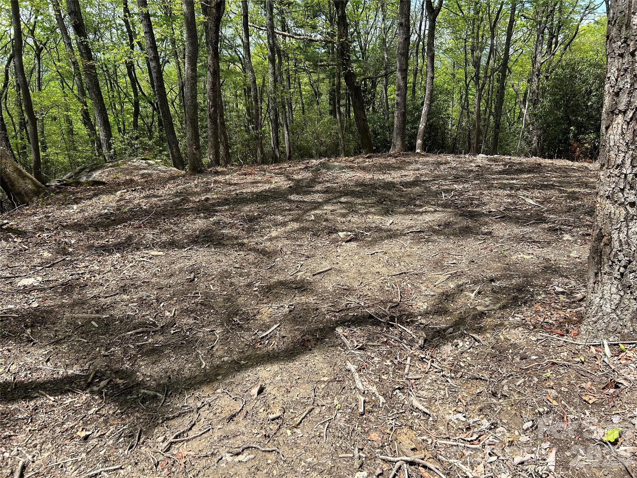 0 John Delk Road, Unit 2&6 Hendersonville, NC 28792 - Photo 4 of 27