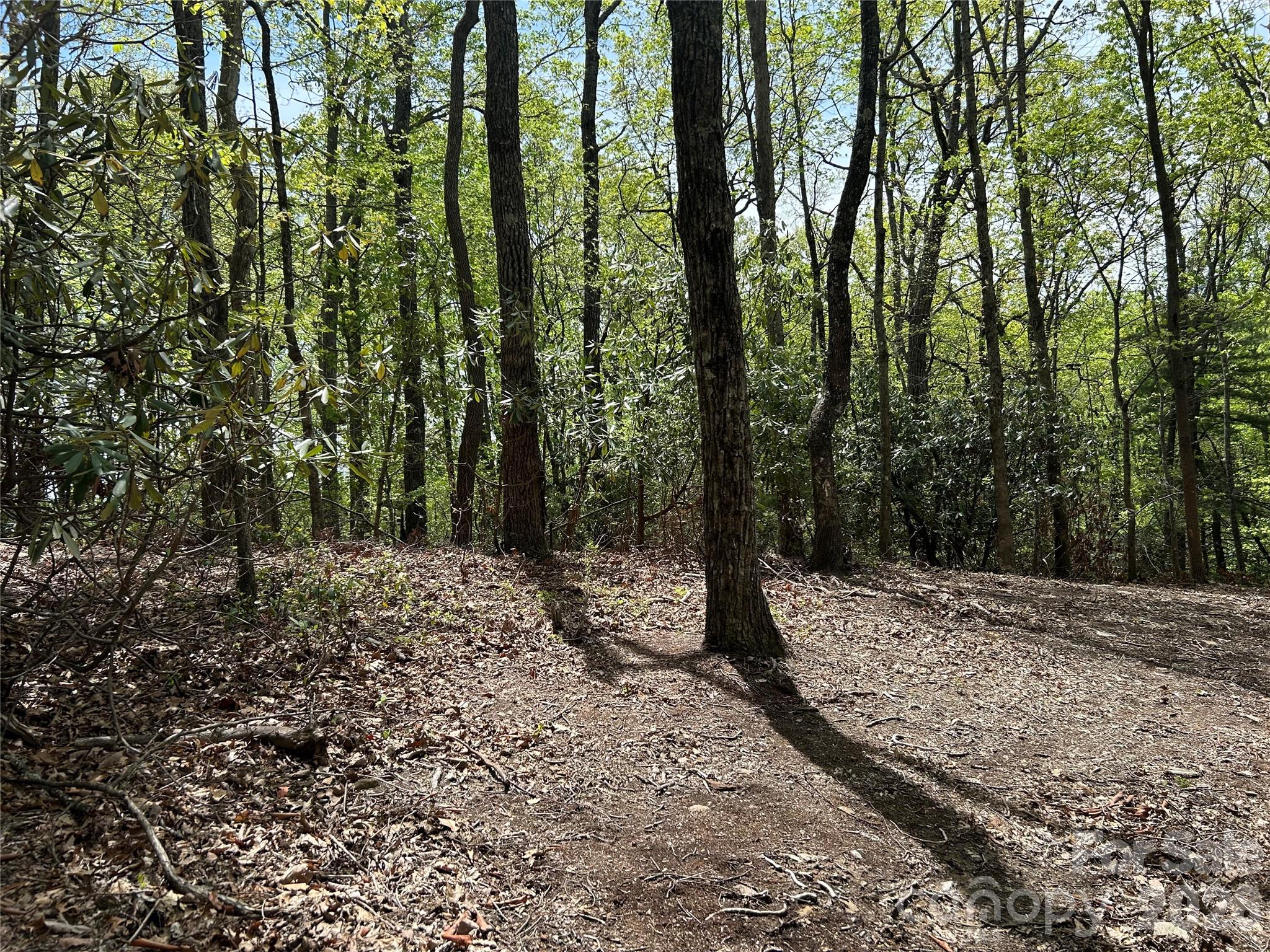 0 John Delk Road, Unit 2&6 Hendersonville, NC 28792 - Photo 5 of 27