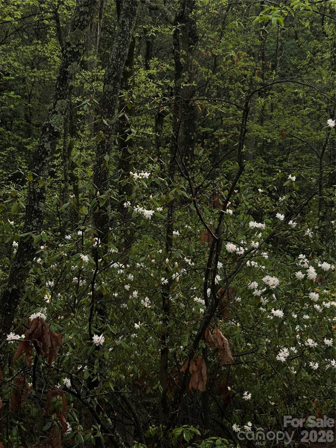 0 John Delk Road, Unit 2&6 Hendersonville, NC 28792 - Photo 7 of 27