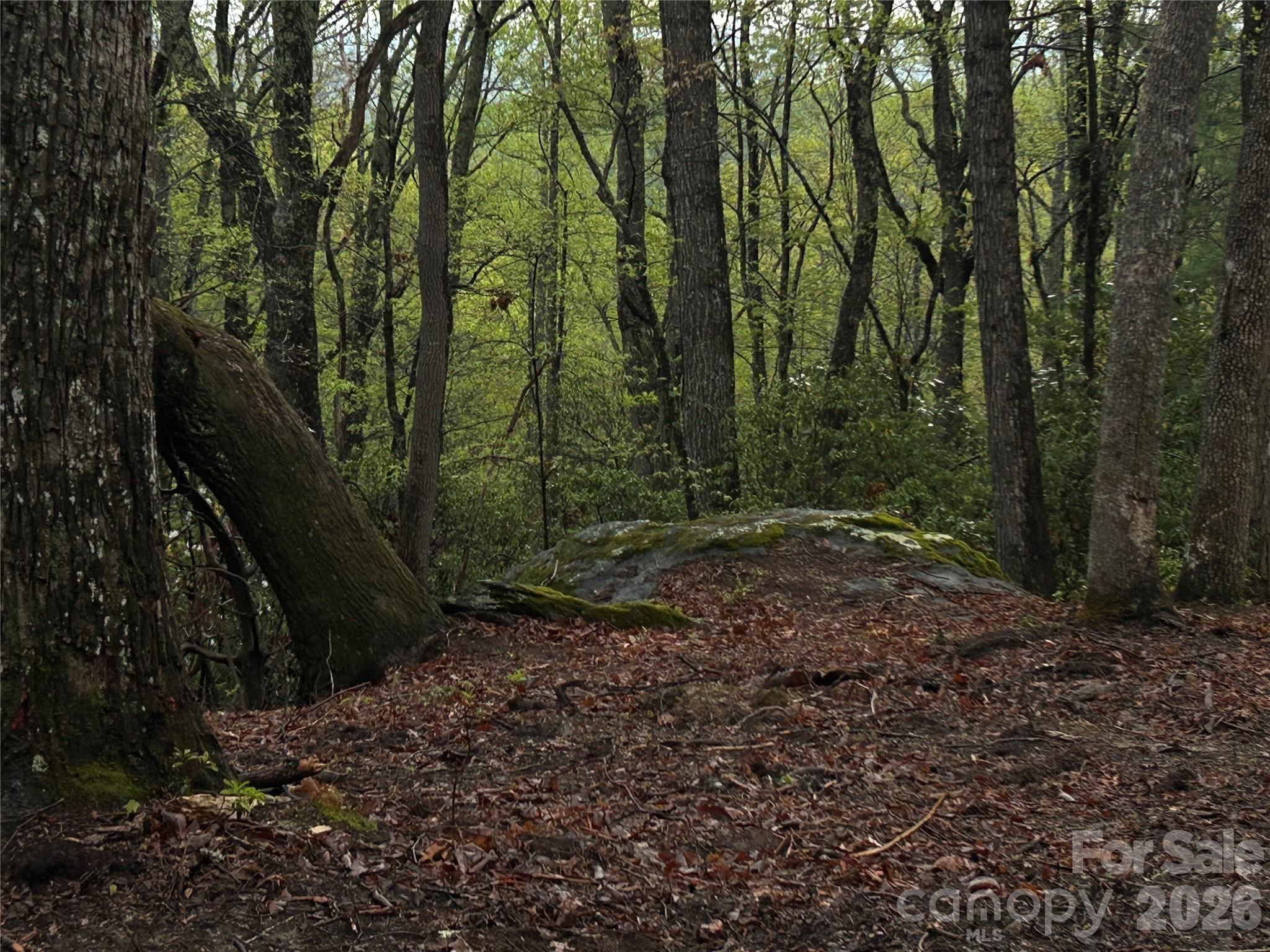 0 John Delk Road, Unit 2&6 Hendersonville, NC 28792 - Photo 8 of 27