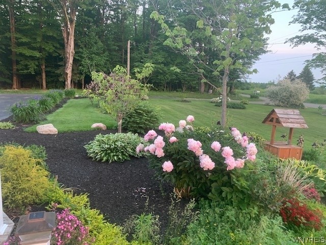 8745 Stebbins Road Farmersville, NY 14737 - Photo 33 of 49