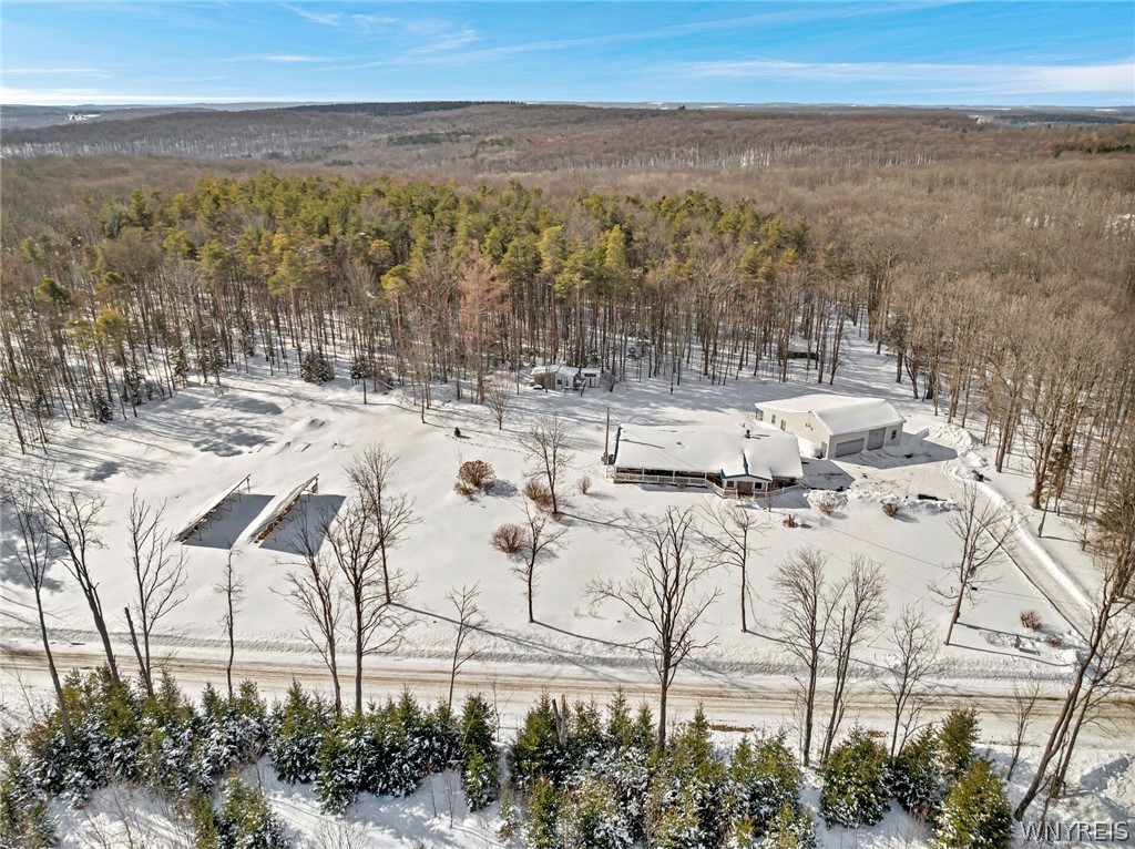 8745 Stebbins Road Farmersville, NY 14737 - Photo 43 of 49