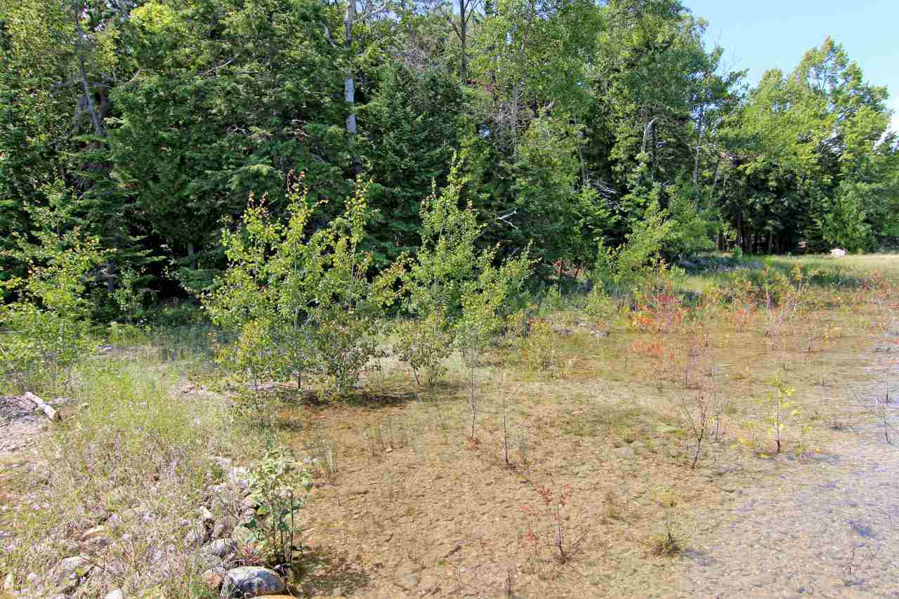 5044 Omena Point Road Omena, MI 49674 - Photo 20 of 44 1835774-19.JPG