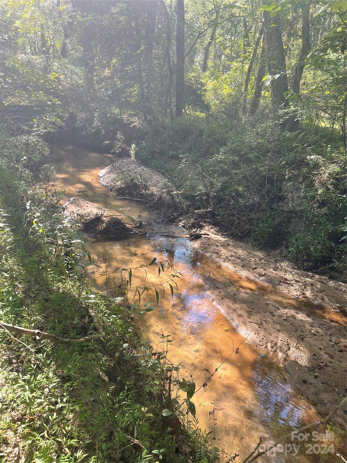 303 Legion Road Hudson, NC 28638 - Photo 8 of 32 a view of yard