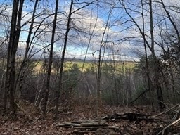 Lot 4 Brimfield Road Warren, MA 01083 - Photo 5 of 6