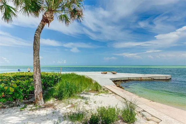 a view of a lake with a big yard