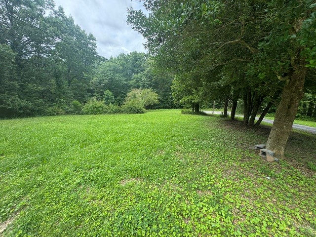 297 Townsend Road Rocky Face, GA 30740 - Photo 10 of 12 Gallery Image 10