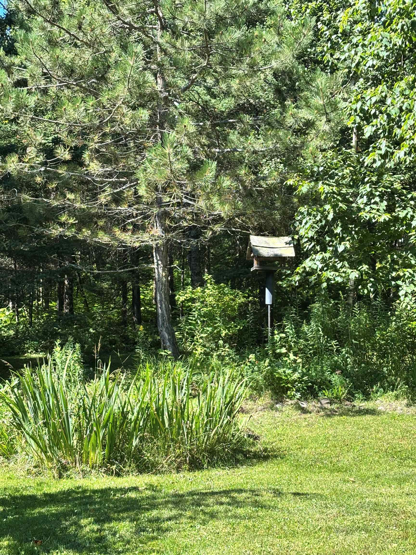 1903 Old North Shore Road Duluth, MN 55804 - Photo 34 of 39