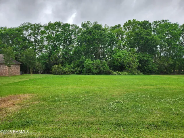 $19,000 | Tbd Dohmann Street, Ville Platte, LA 70586