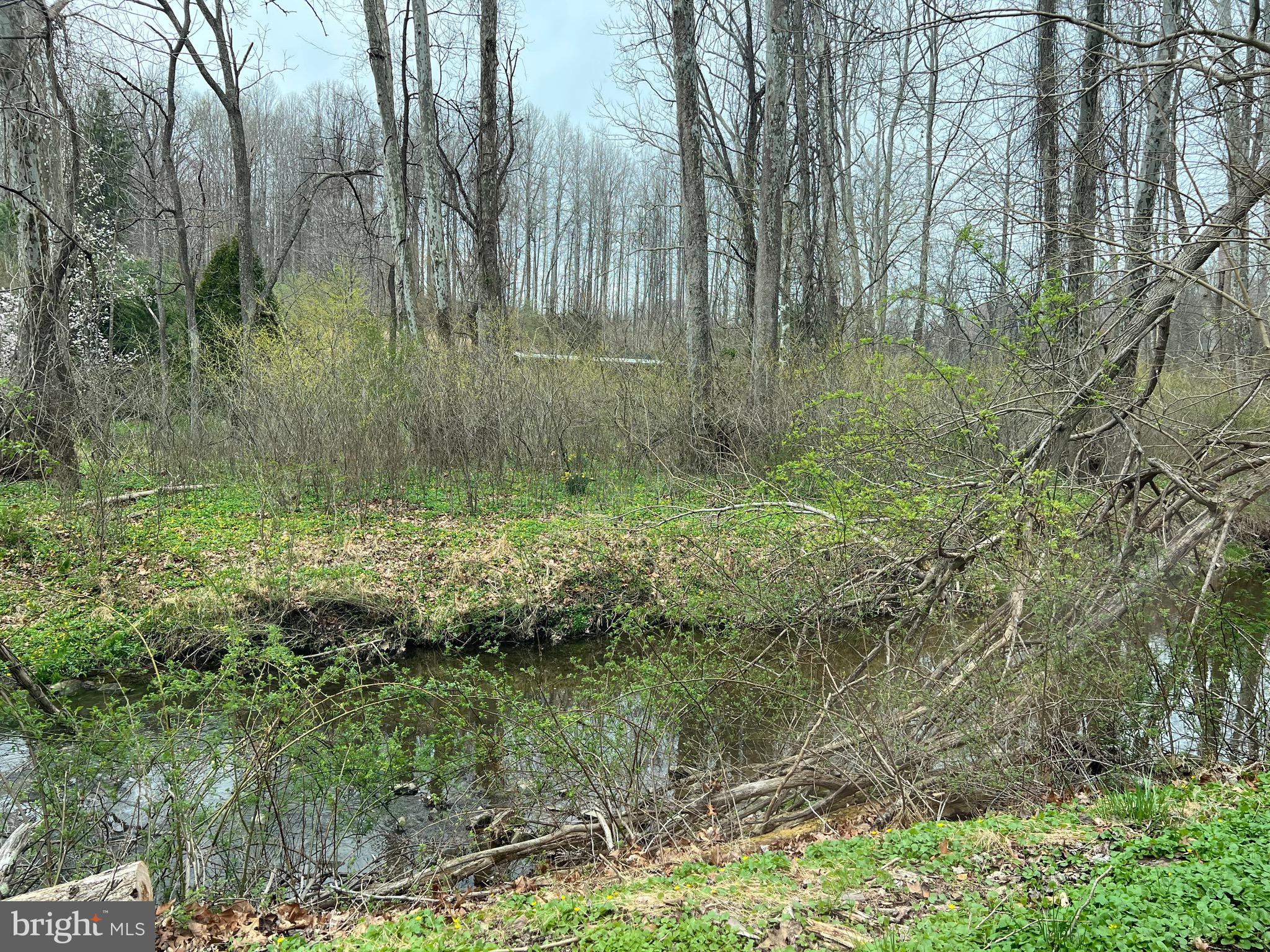 Dogwood Road Windsor Mill, MD 21244 - Photo 5 of 7 a view of a lush green space