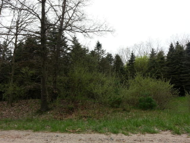 0 West Briggs Road Stanton, MI 48888 - Photo 1 of 35 Briggs road