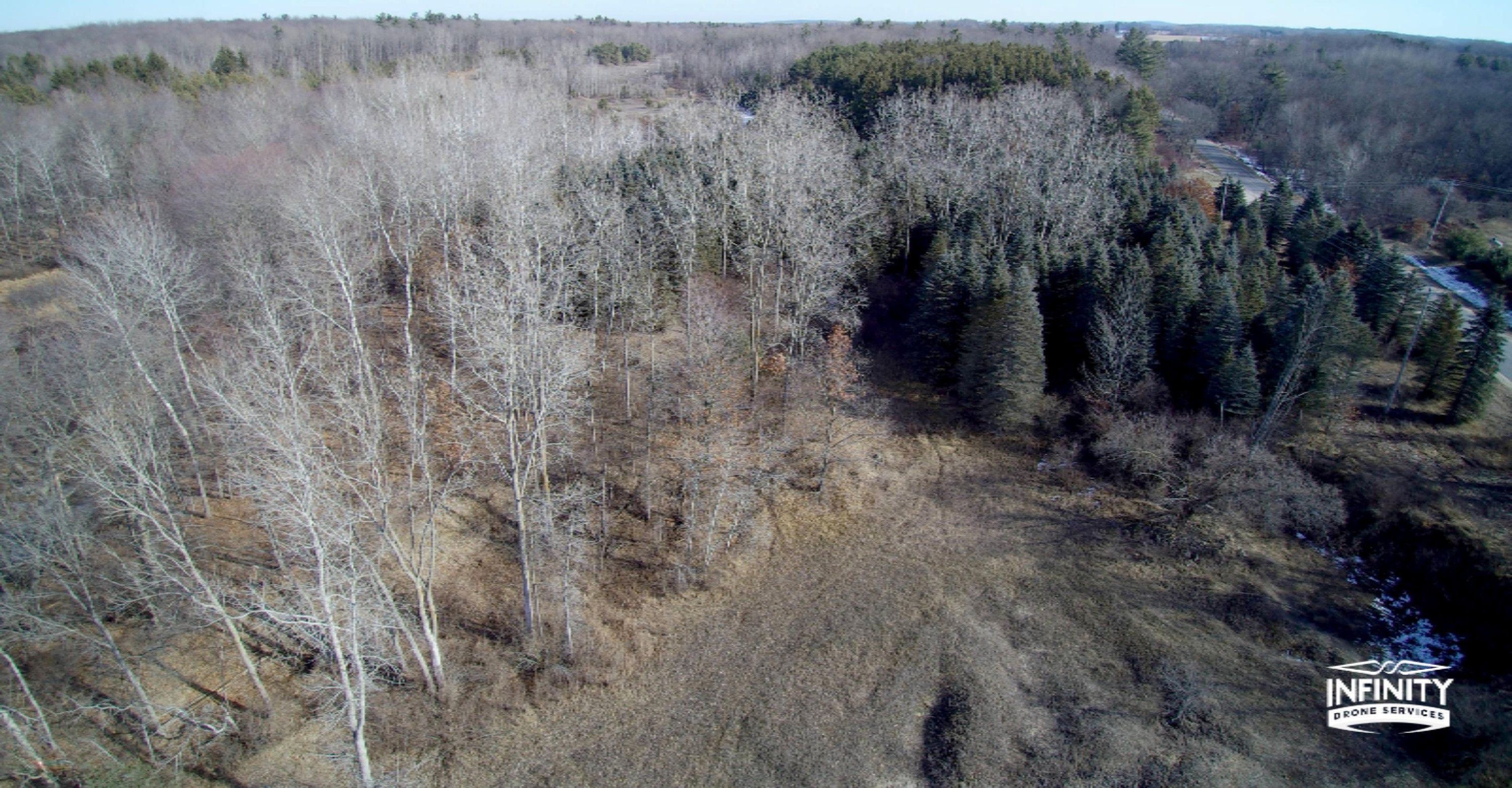 0 West Briggs Road Stanton, MI 48888 - Photo 12 of 35 Briggs Rd 12