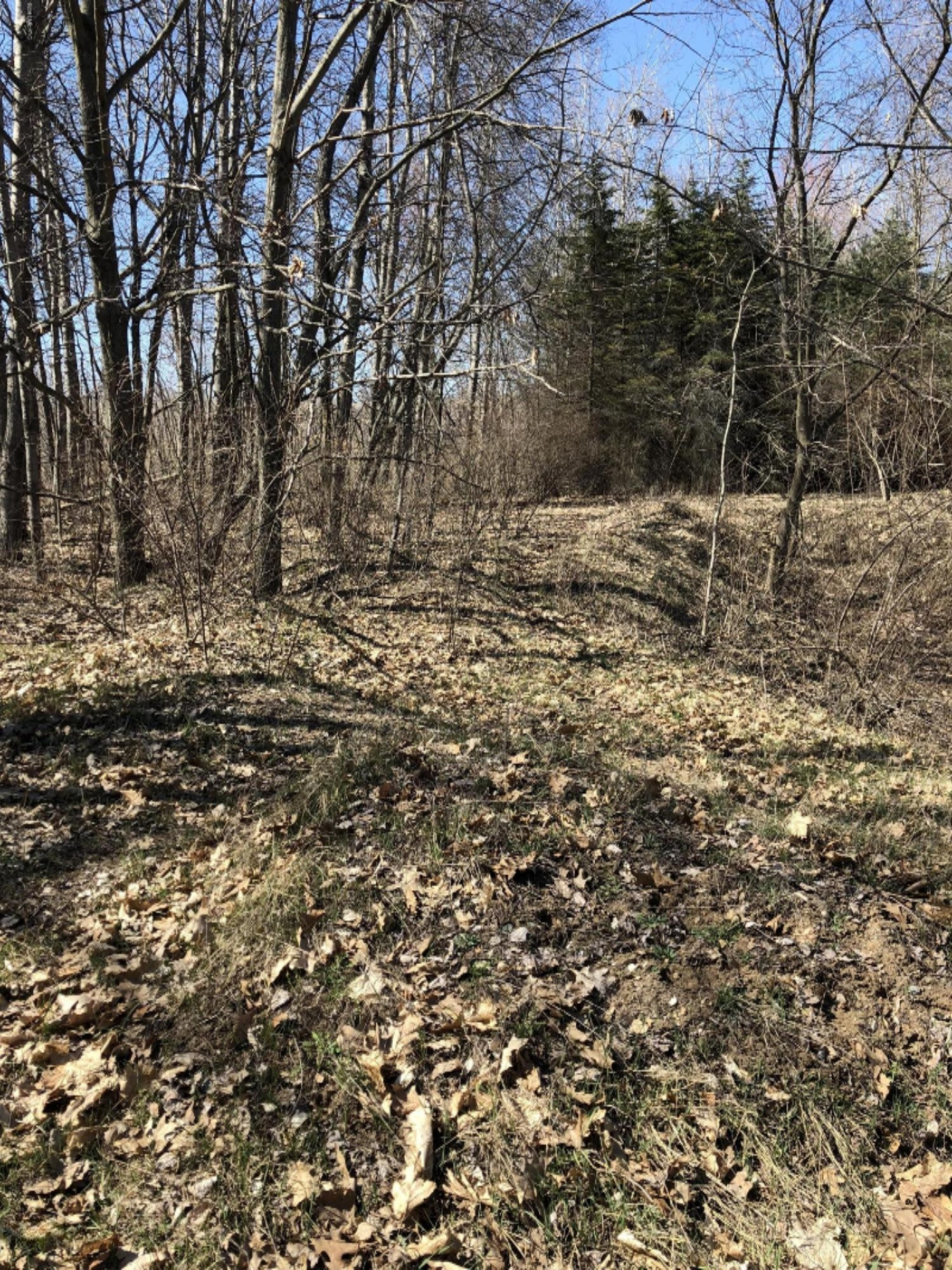 0 West Briggs Road Stanton, MI 48888 - Photo 18 of 35 IMG_0340