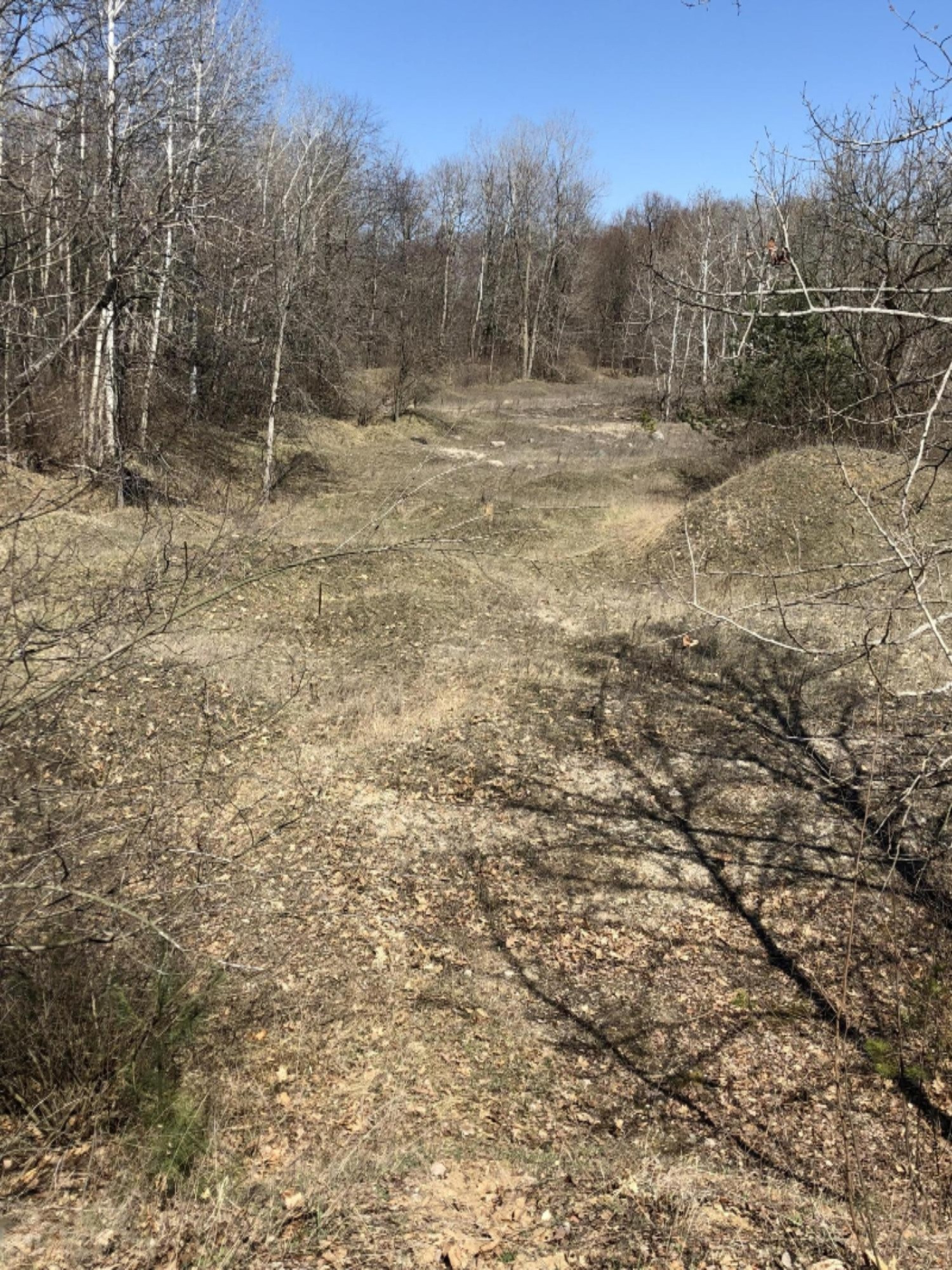 0 West Briggs Road Stanton, MI 48888 - Photo 20 of 35 IMG_0342