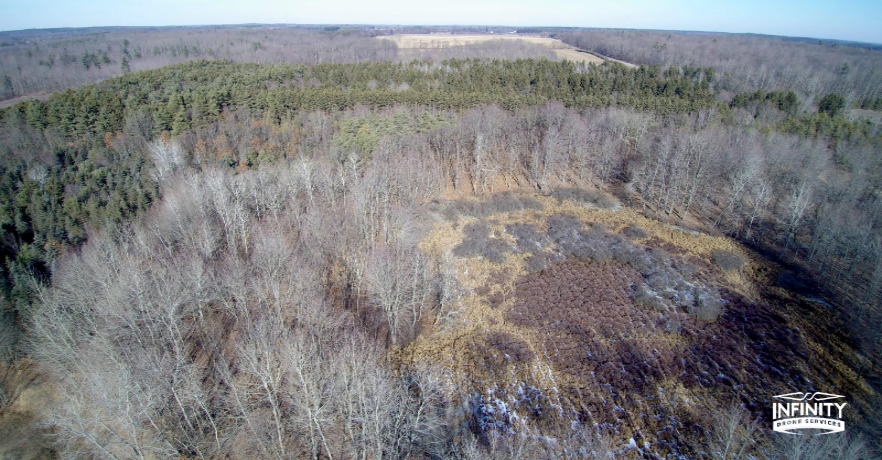 0 West Briggs Road Stanton, MI 48888 - Photo 2 of 35 Briggs Rd 1