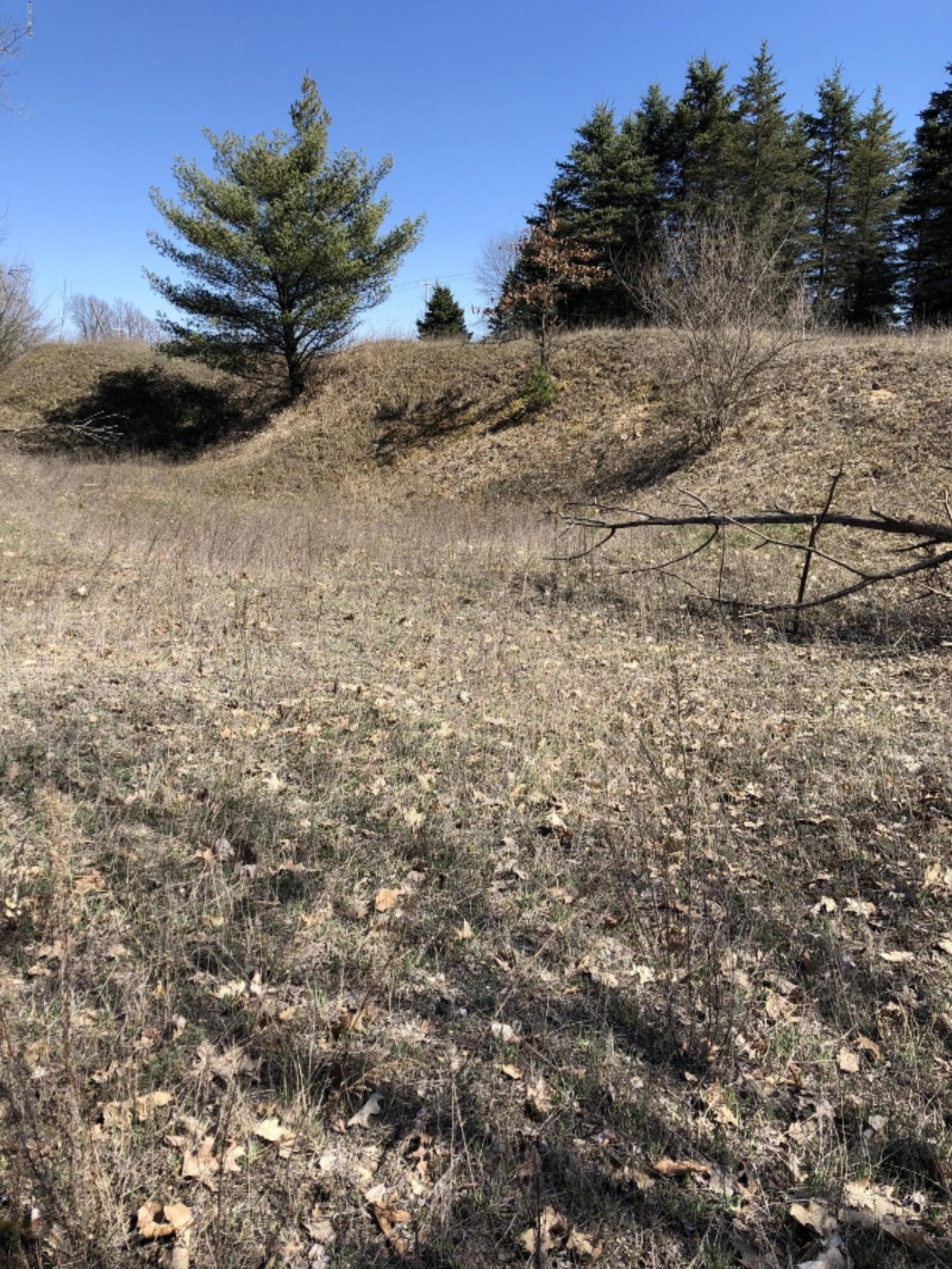 0 West Briggs Road Stanton, MI 48888 - Photo 21 of 35 IMG_0343