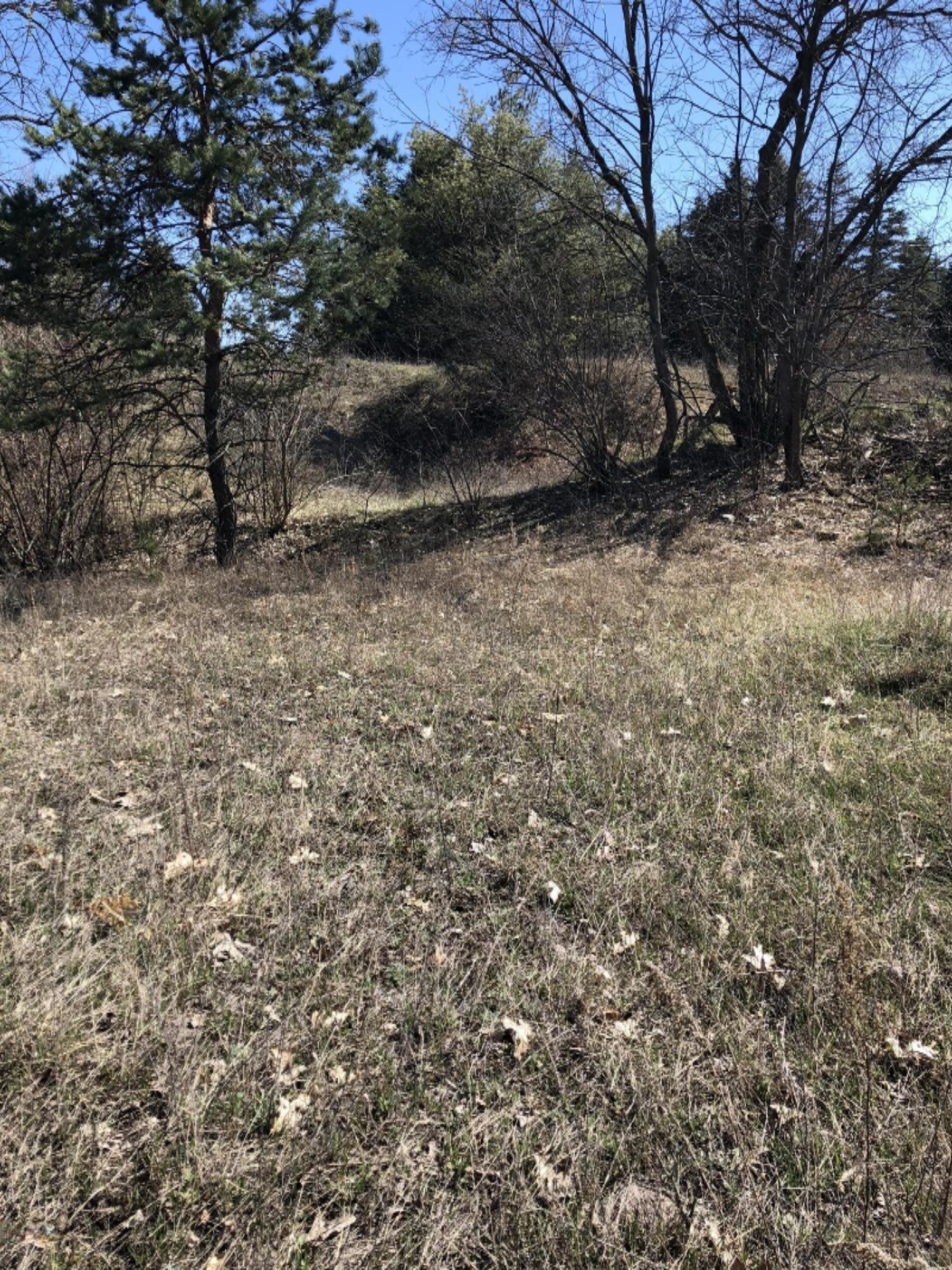 0 West Briggs Road Stanton, MI 48888 - Photo 23 of 35 IMG_0345
