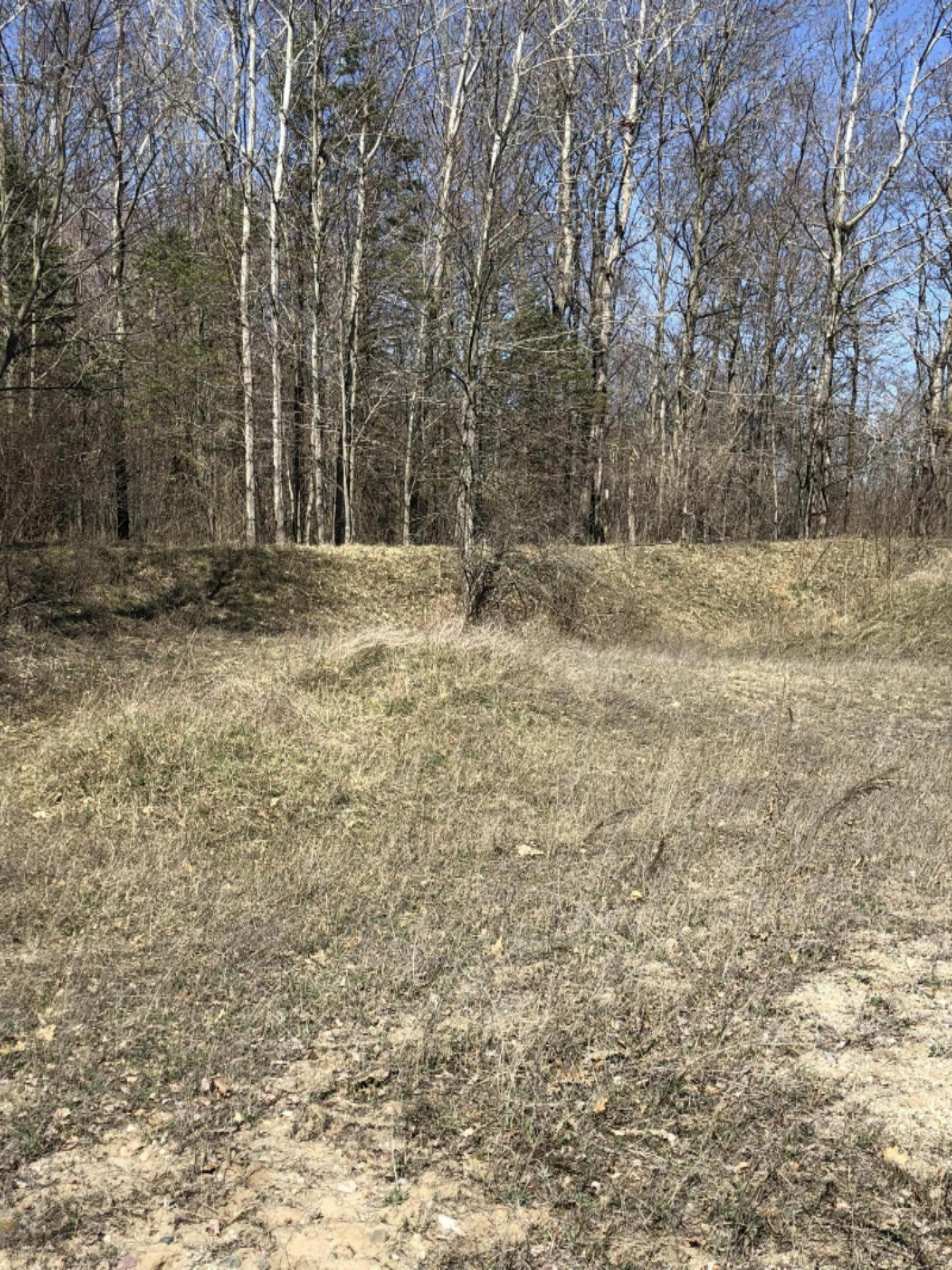 0 West Briggs Road Stanton, MI 48888 - Photo 25 of 35 IMG_0347