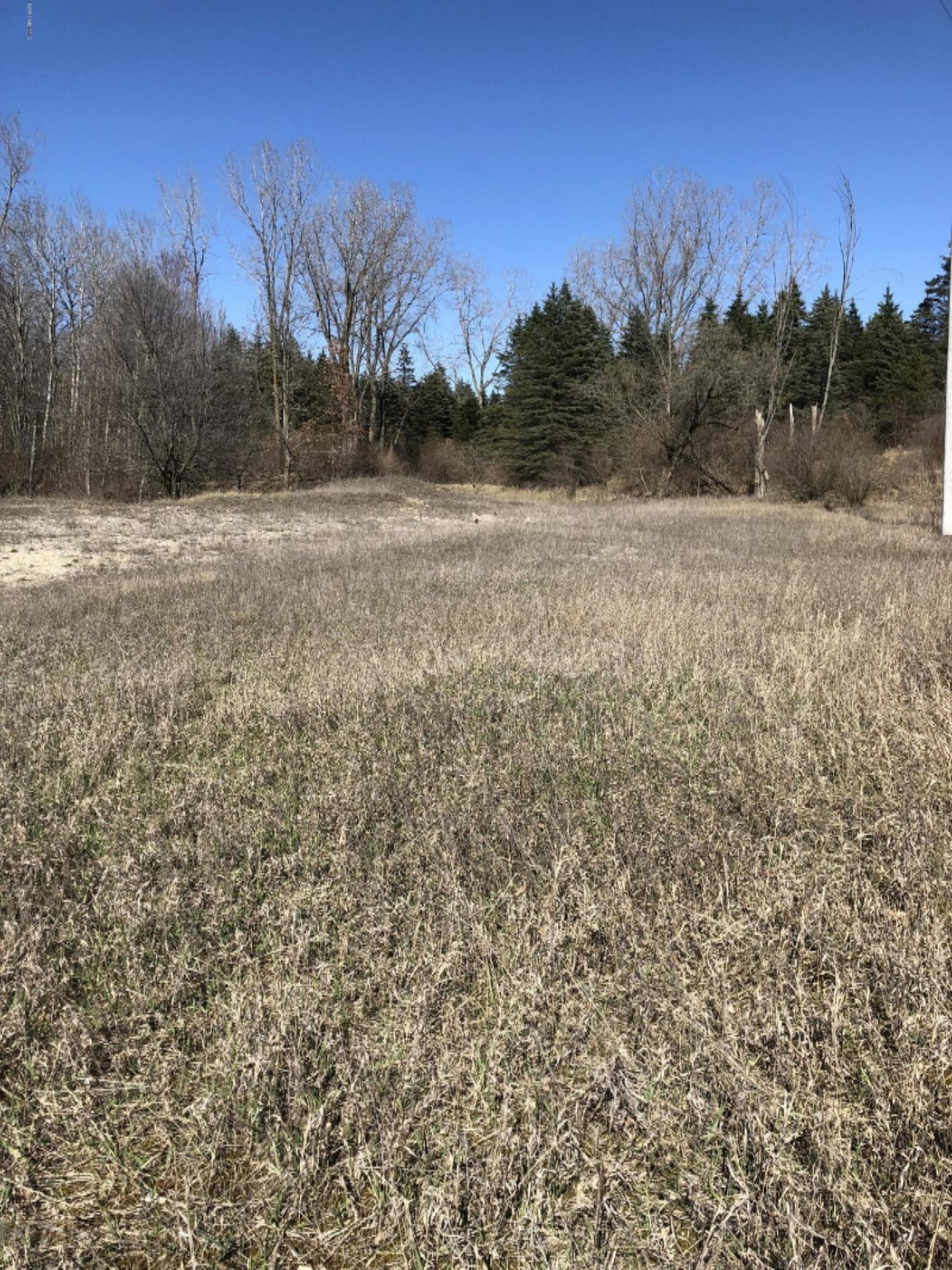 0 West Briggs Road Stanton, MI 48888 - Photo 34 of 35 IMG_0356