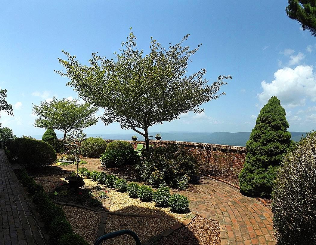 32 Apollo Road Lookout Mountain, GA 30750 - Photo 48 of 62 Formal Garden