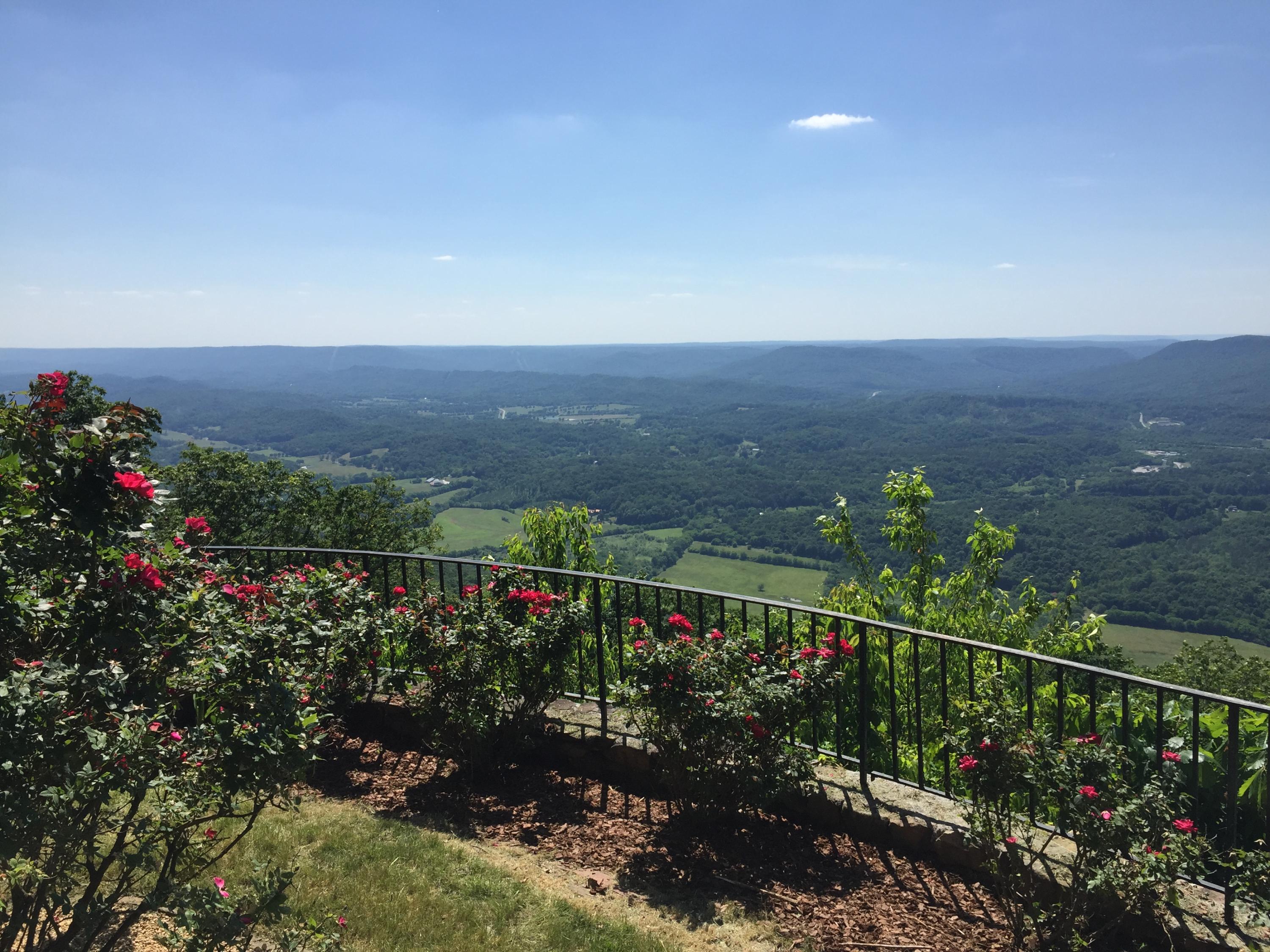 32 Apollo Road Lookout Mountain, GA 30750 - Photo 53 of 62 Rose Garden