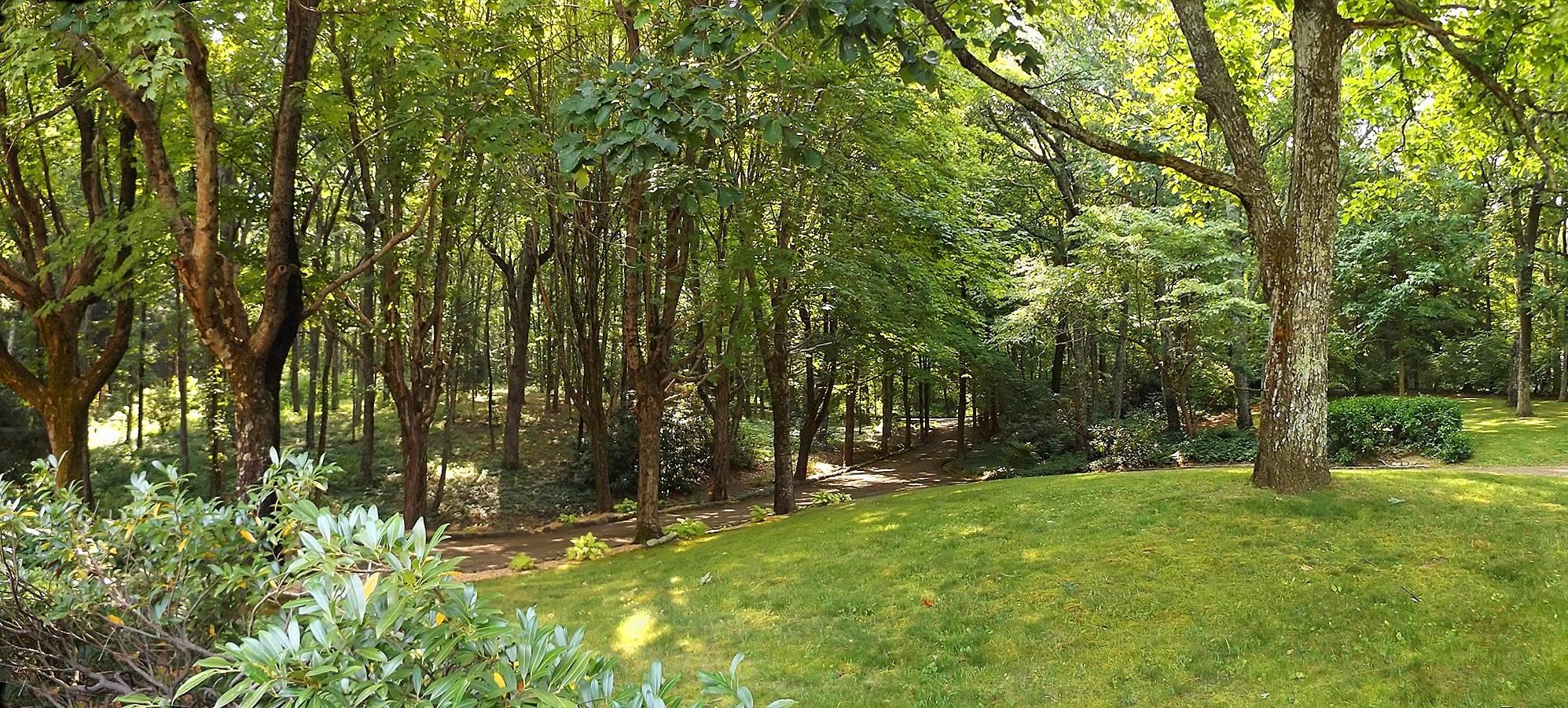 32 Apollo Road Lookout Mountain, GA 30750 - Photo 54 of 62 FRONT YARD VIEW